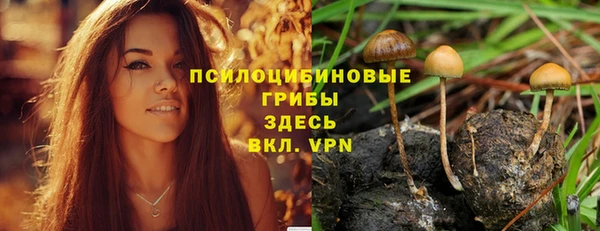 a pvp Сосновоборск